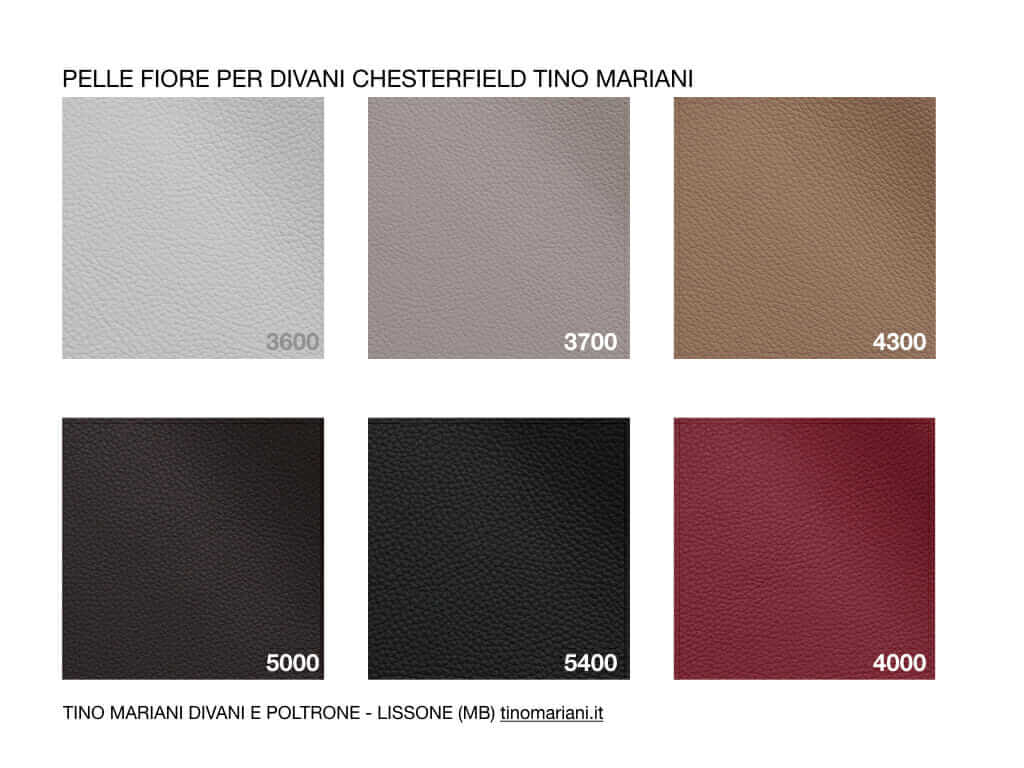 Pelle Offerta Chesterfield.001